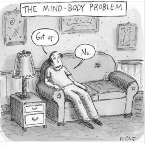 The Mind-Body Problem