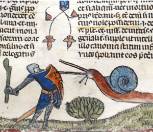The Mystery of the 13th Century Snails…