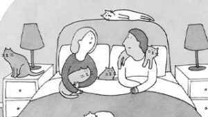 You knew I was a cat lady….