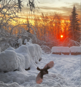 Solstice in Fairbanks