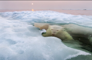 Spirit and the Arctic